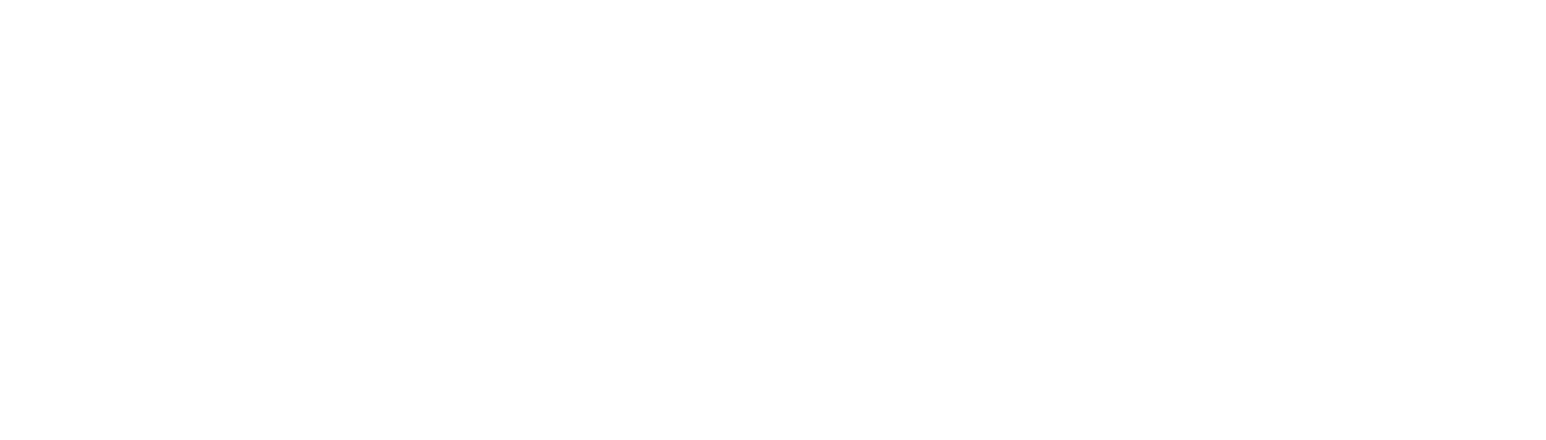 Avaya-Logo-White